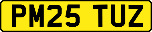 PM25TUZ