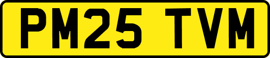 PM25TVM