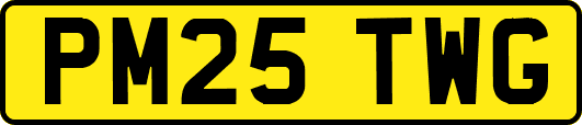 PM25TWG