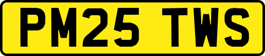 PM25TWS