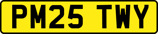 PM25TWY