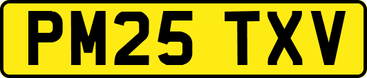 PM25TXV