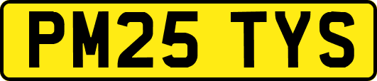 PM25TYS