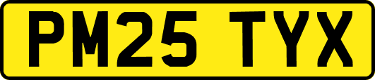 PM25TYX