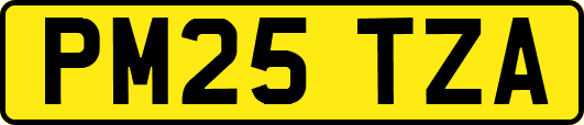 PM25TZA