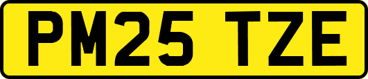 PM25TZE
