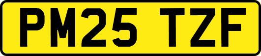 PM25TZF