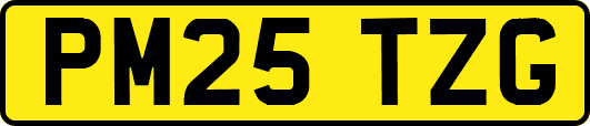 PM25TZG