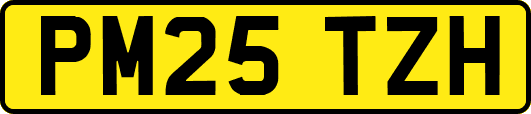 PM25TZH
