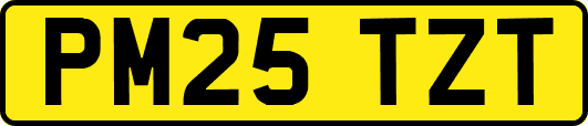 PM25TZT