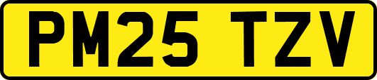 PM25TZV