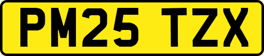 PM25TZX