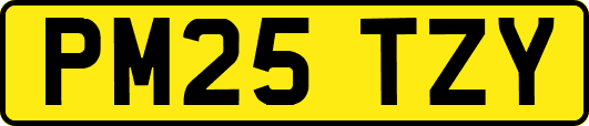 PM25TZY