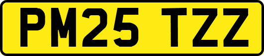 PM25TZZ