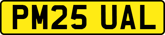 PM25UAL
