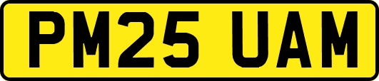 PM25UAM