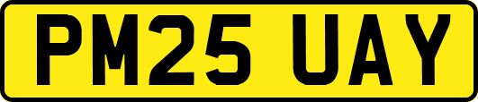 PM25UAY