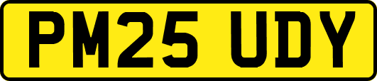 PM25UDY