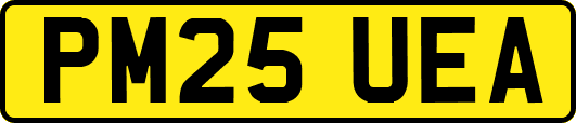 PM25UEA