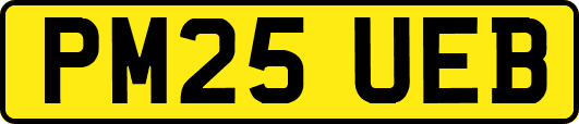 PM25UEB