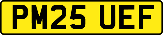 PM25UEF
