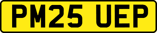 PM25UEP