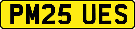 PM25UES