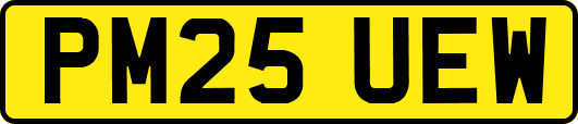 PM25UEW