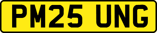 PM25UNG