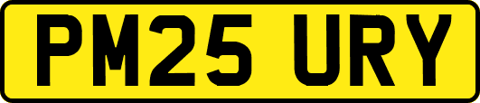 PM25URY
