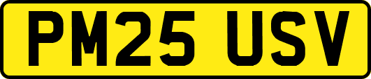 PM25USV