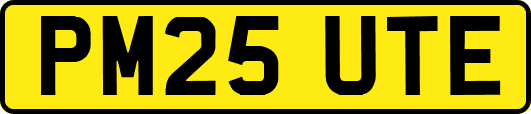 PM25UTE