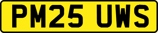 PM25UWS