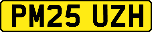 PM25UZH