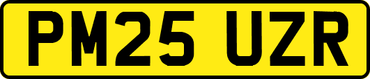 PM25UZR