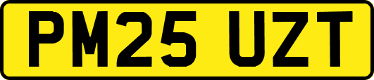 PM25UZT