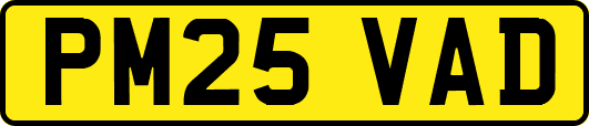 PM25VAD