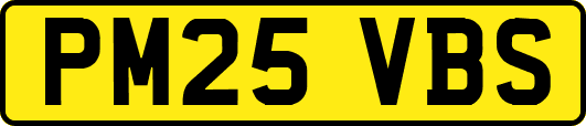 PM25VBS