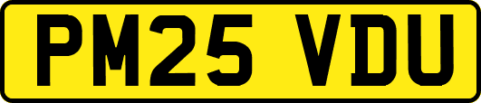 PM25VDU