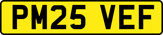 PM25VEF