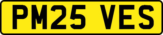 PM25VES