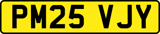 PM25VJY