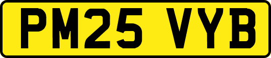 PM25VYB