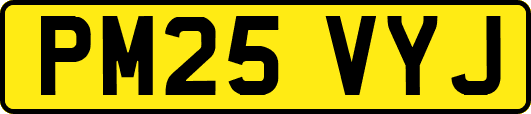 PM25VYJ