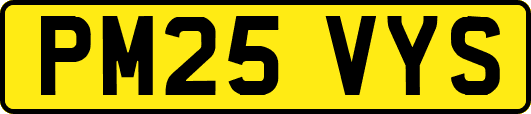 PM25VYS