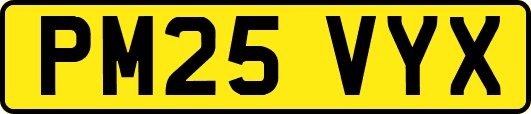 PM25VYX