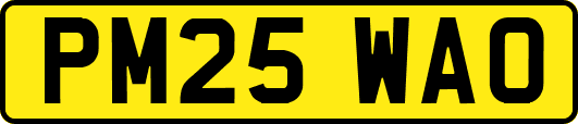 PM25WAO