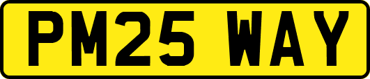 PM25WAY