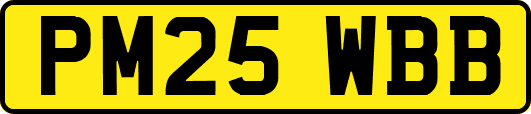 PM25WBB