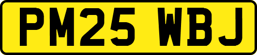 PM25WBJ